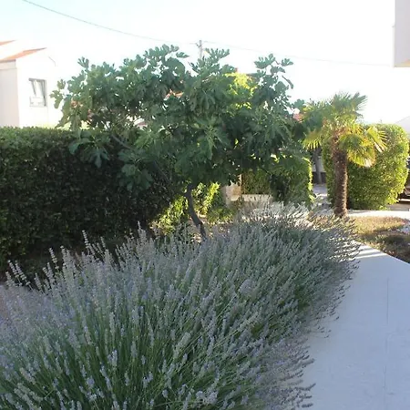 Apartament Opera 3 Zadar